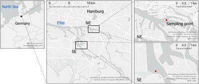 Deriving erosion thresholds of freshly deposited cohesive sediments from the port of Hamburg using a closed microcosm system